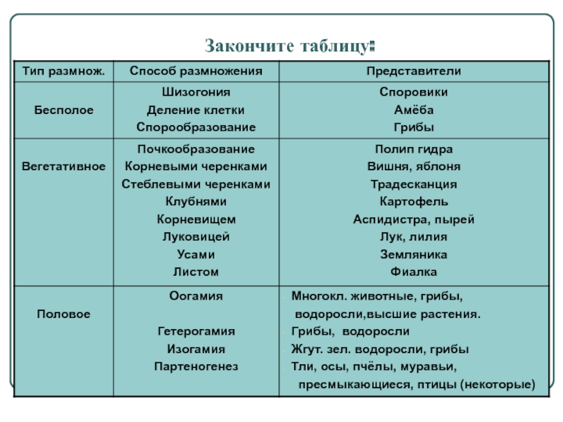 Кракен маркетплейс что это